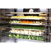 Шкаф шоковой заморозки ABAT ШОК-10-1/1